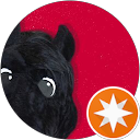 Chris M profile picture